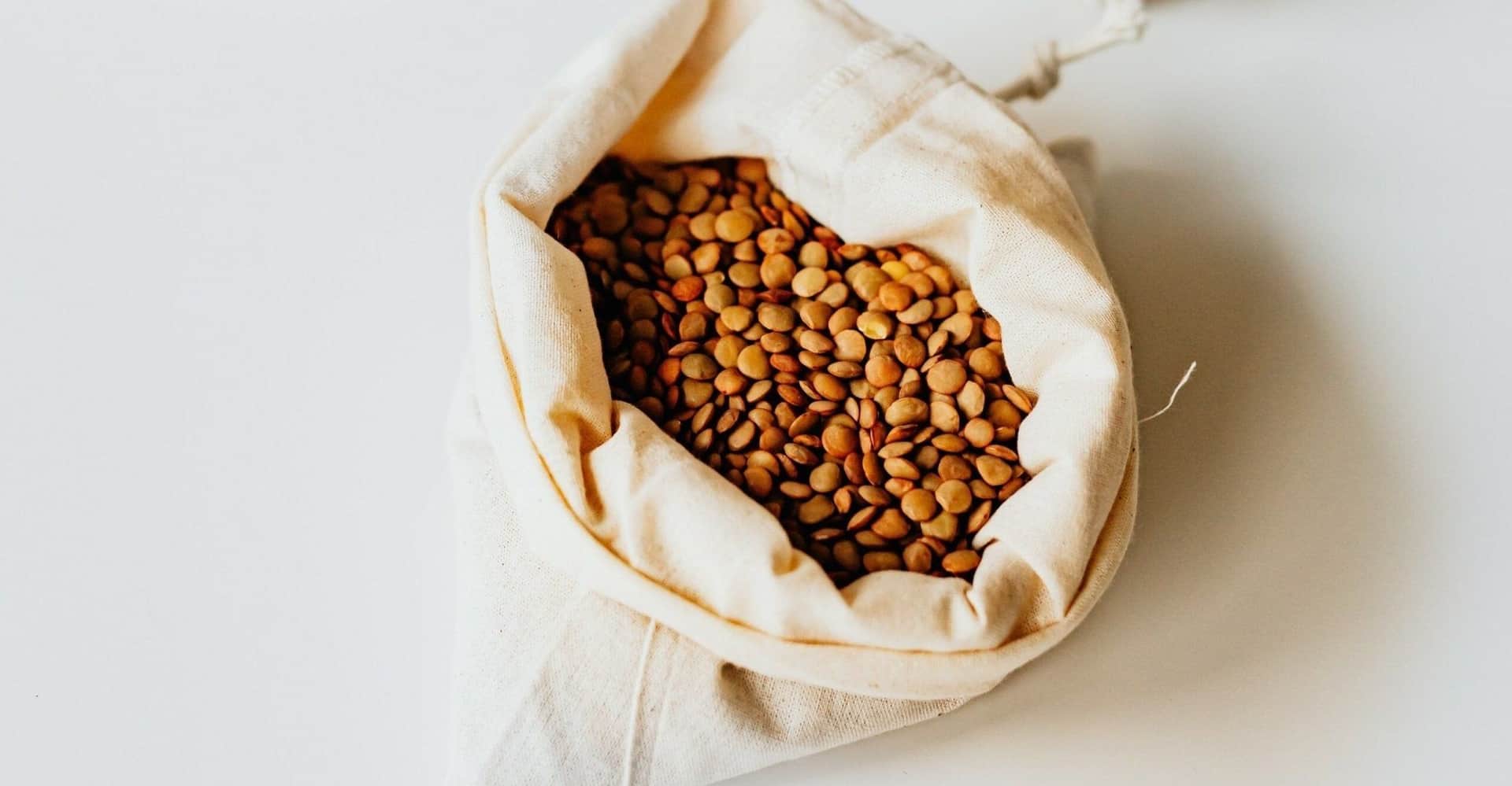 Can Dogs Eat Lentils? Cooking Tips And  Benefits cover image