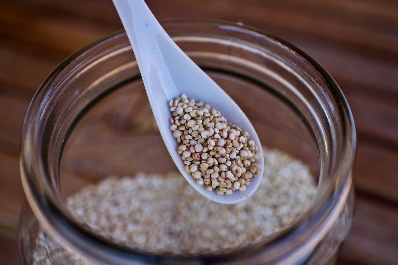 Can Dogs Eat Quinoa? A Great Kibble Alternative With Unique Benefits cover image