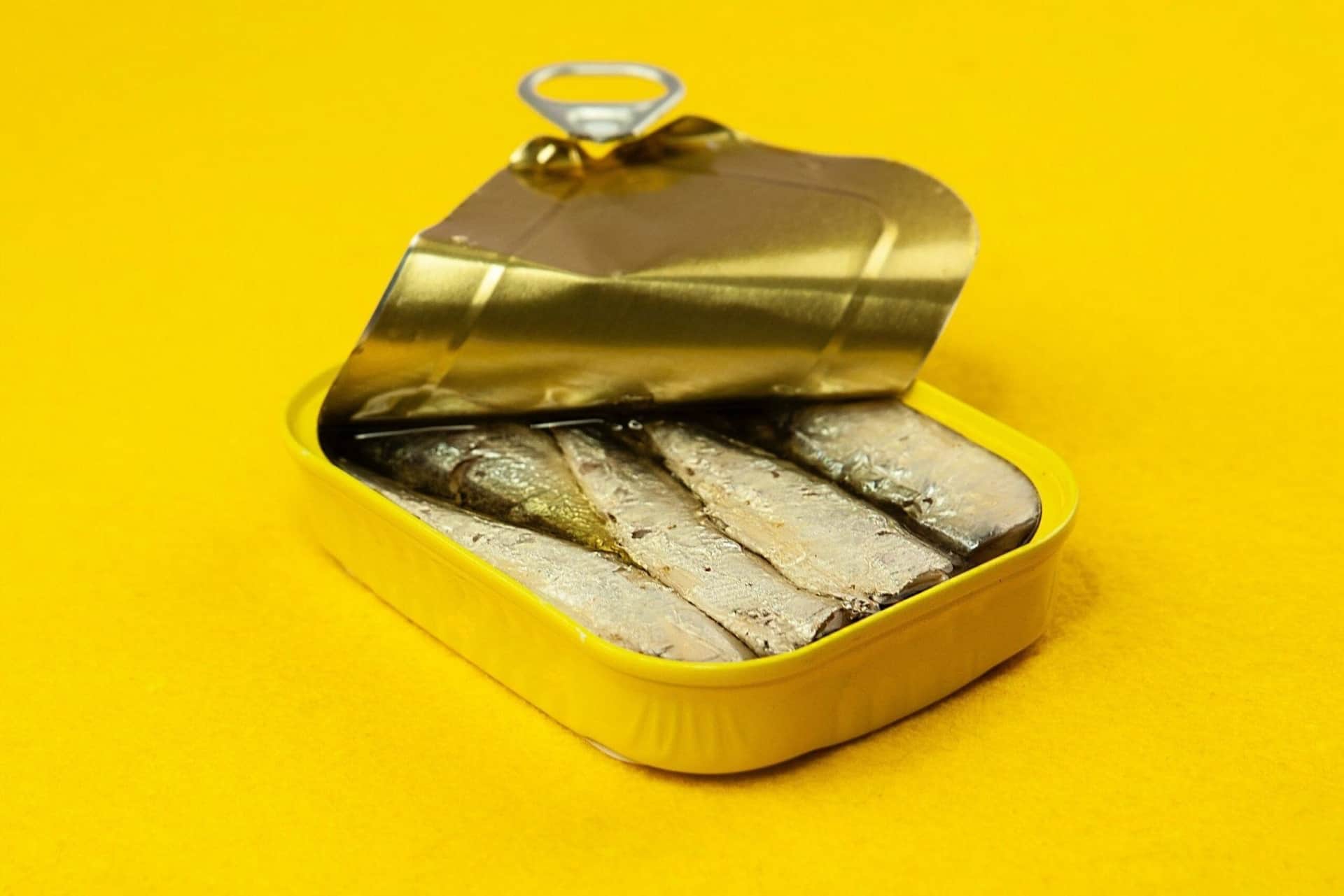 Can Dogs Eat Sardines? A Healthy Fill Of Omega-3 And Antioxidants cover image