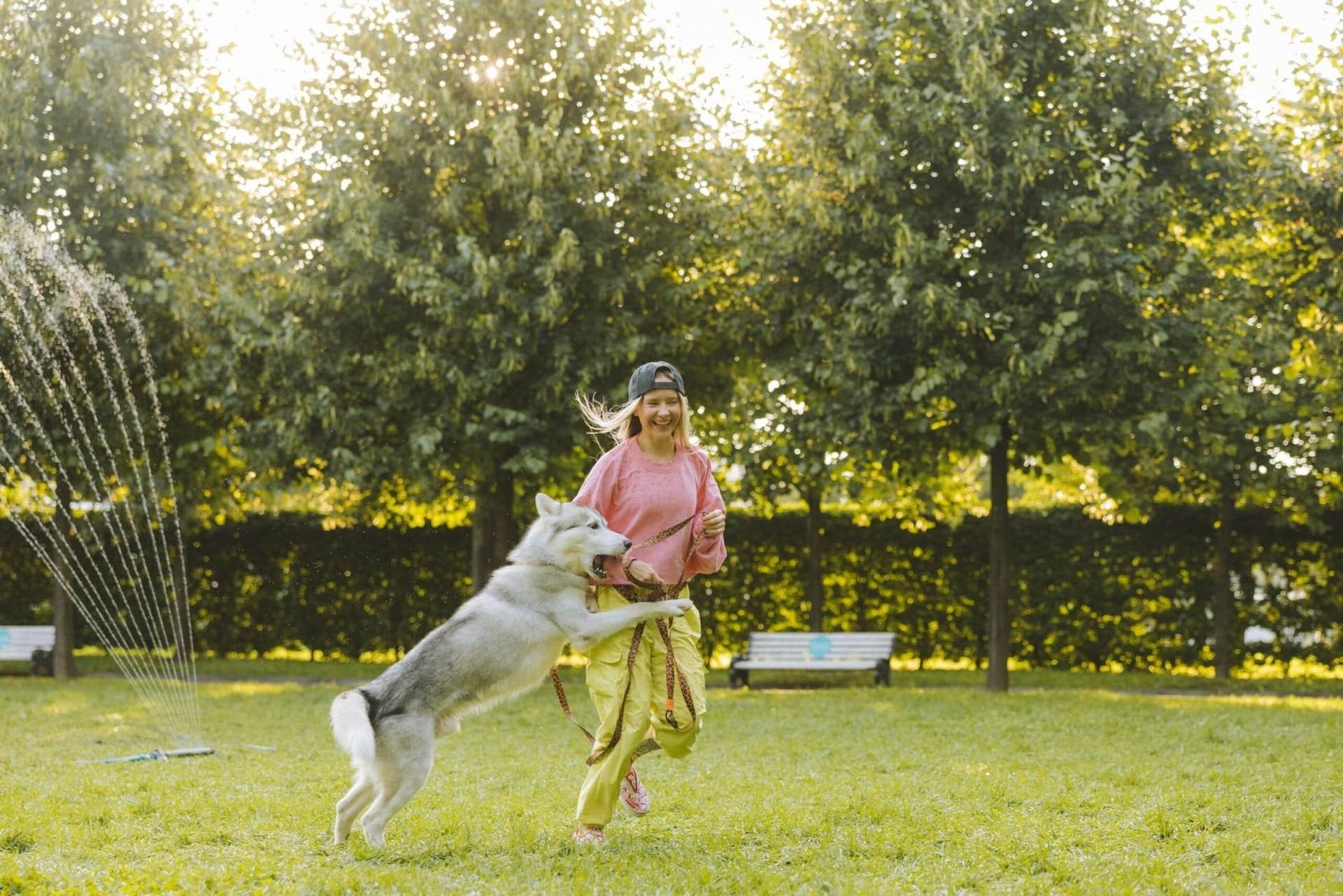 How To Keep Your Dog Active Physically And Mentally cover image