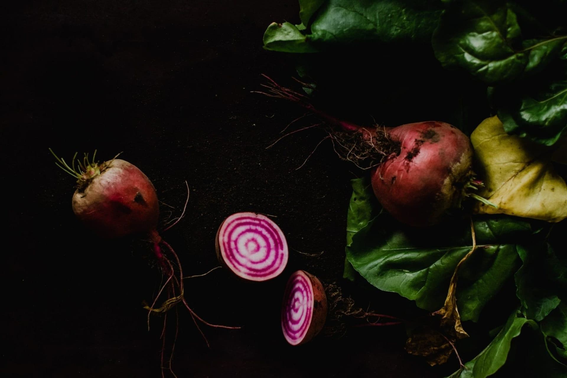 Can Dogs Eat Beetroot? A Fun Recipe To Try And Alternatives