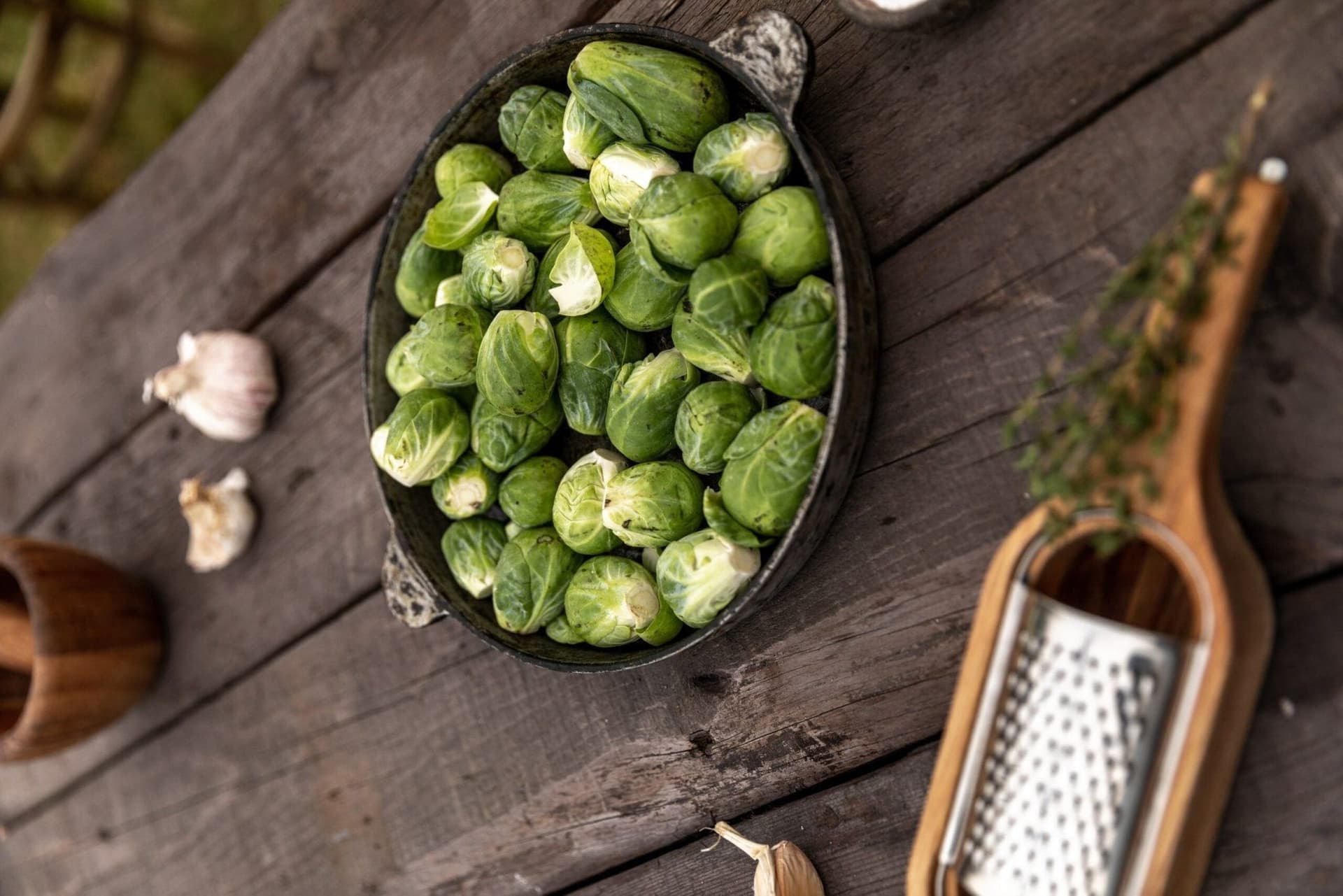 Can Dogs Eat Brussels Sprouts? Feeding Tips And Nutrition-Filled Recipes