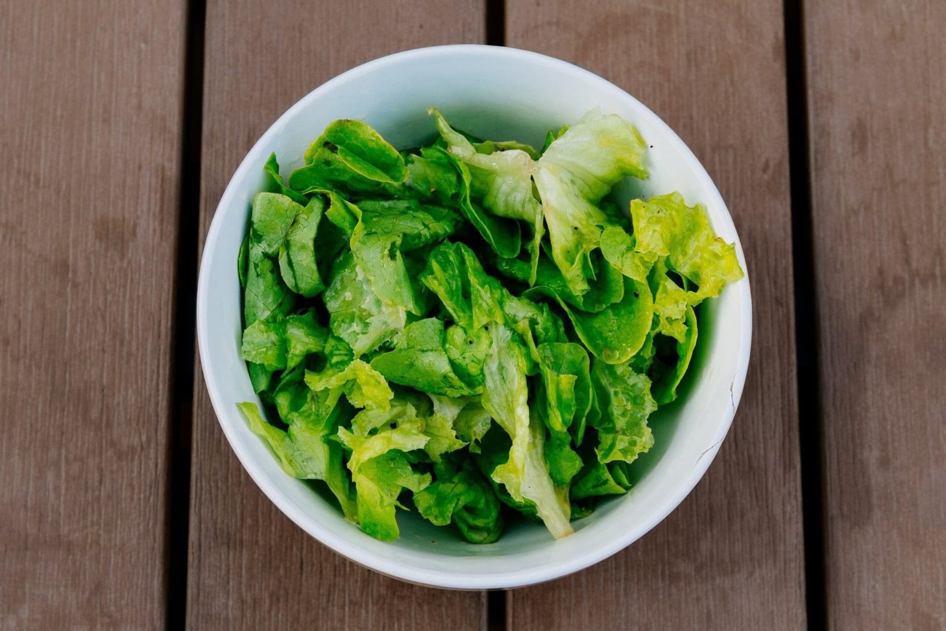 Can Dogs Eat Lettuce? How To Prepare A Leafy Green Snack