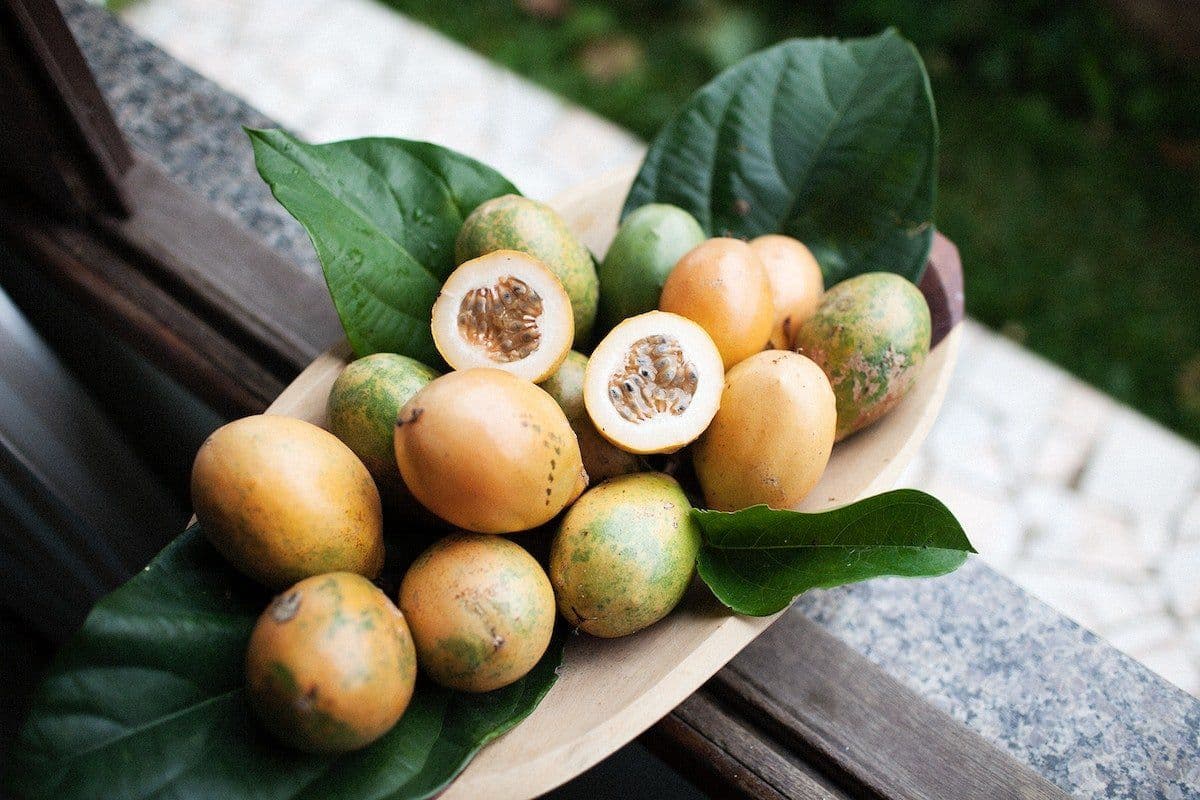Can Dogs Eat Passionfruit?