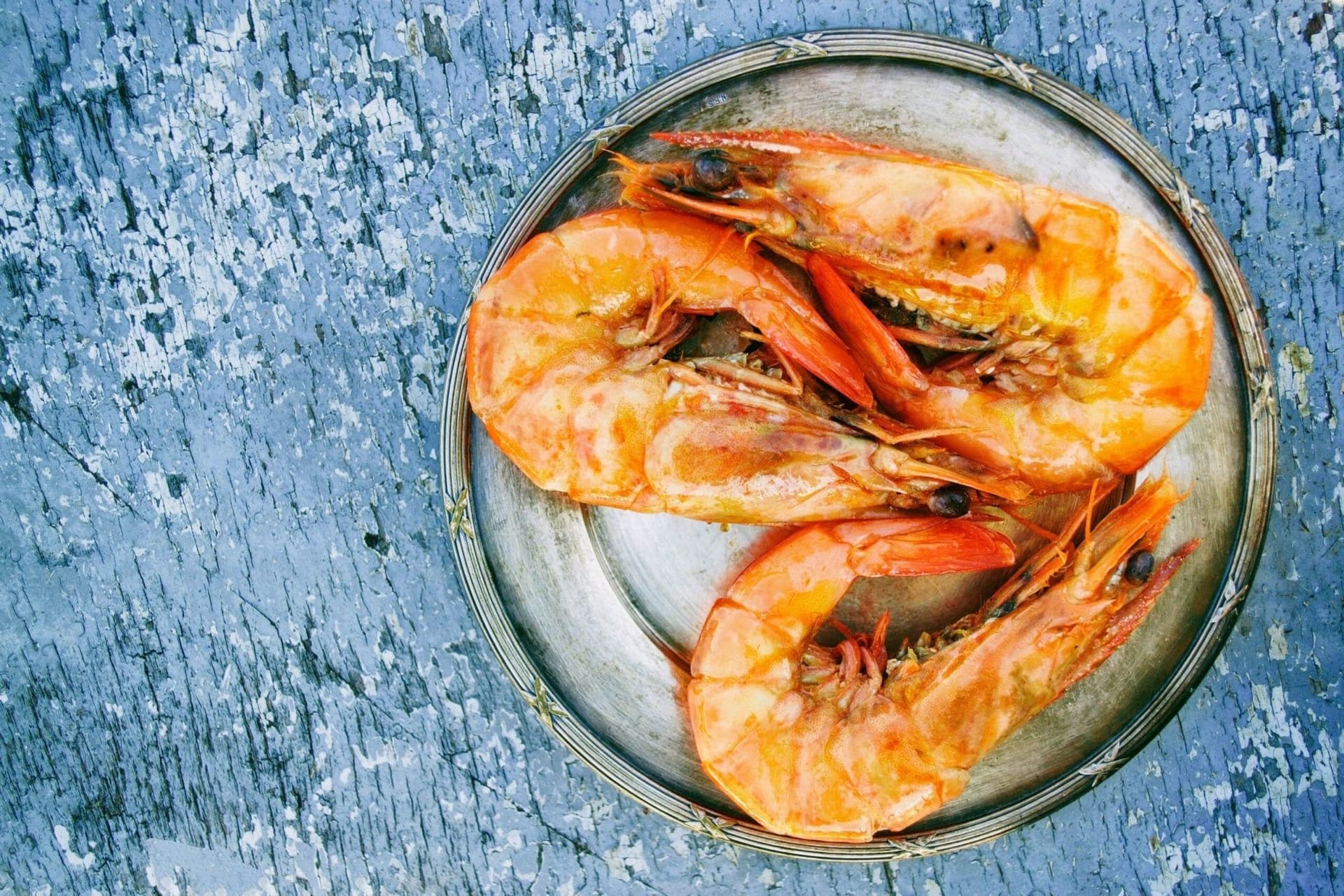 Can Dogs Eat Prawns? Myths And Facts