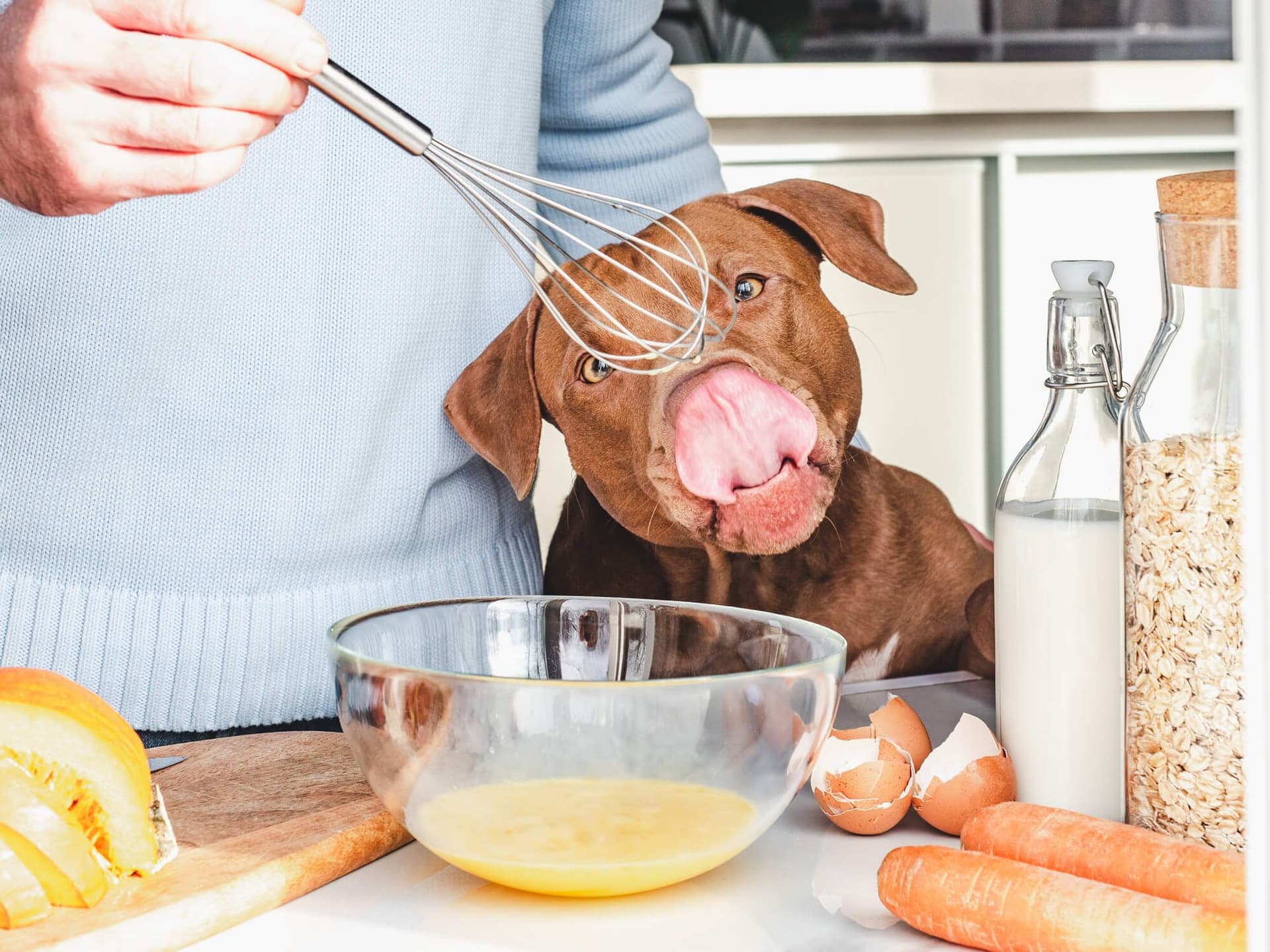 Homemade Happiness: Probiotic Foods to Enhance Your Dog's Diet