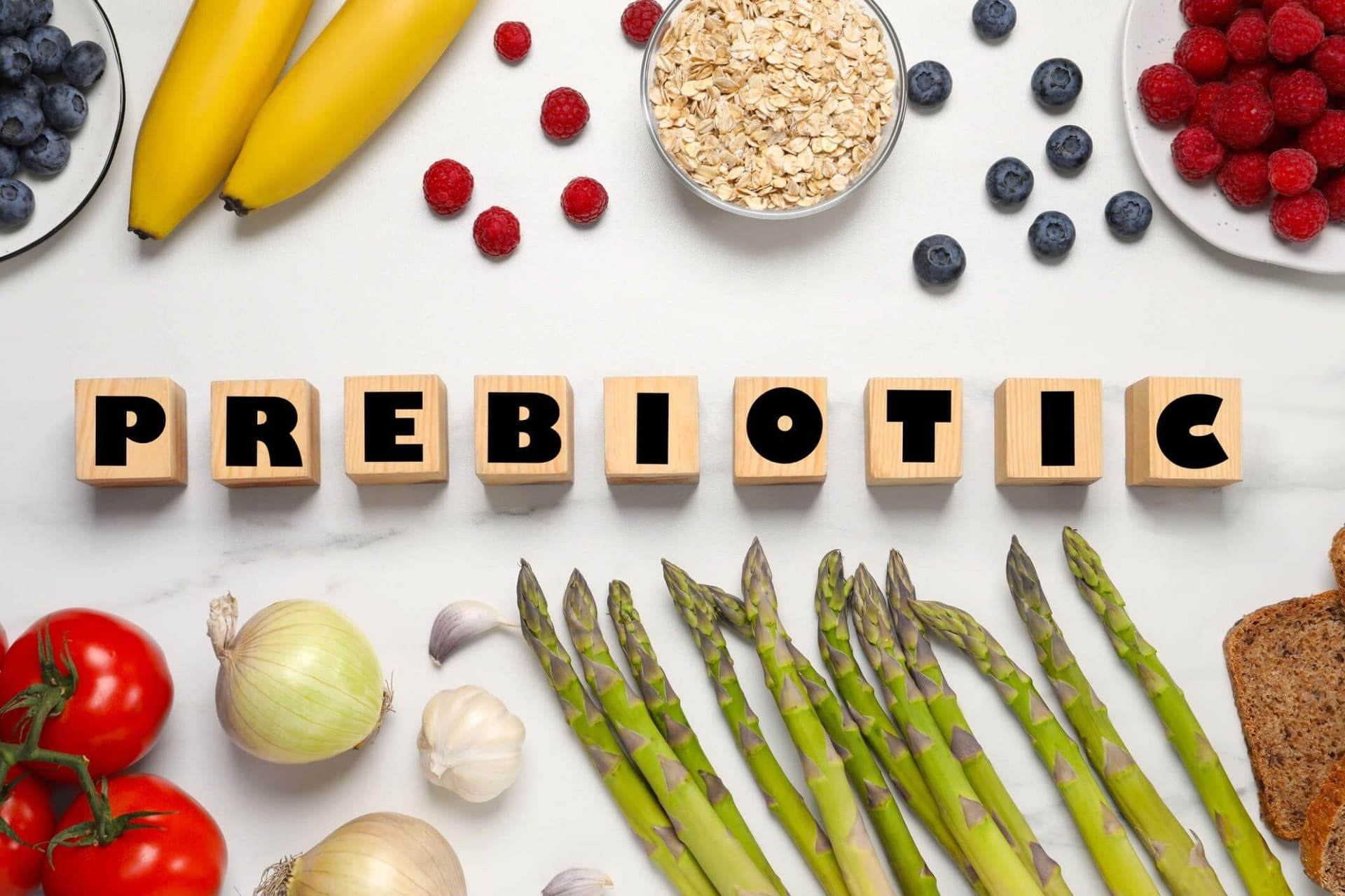 Prebiotics vs. Probiotics: Understanding the Difference for Dog Health
