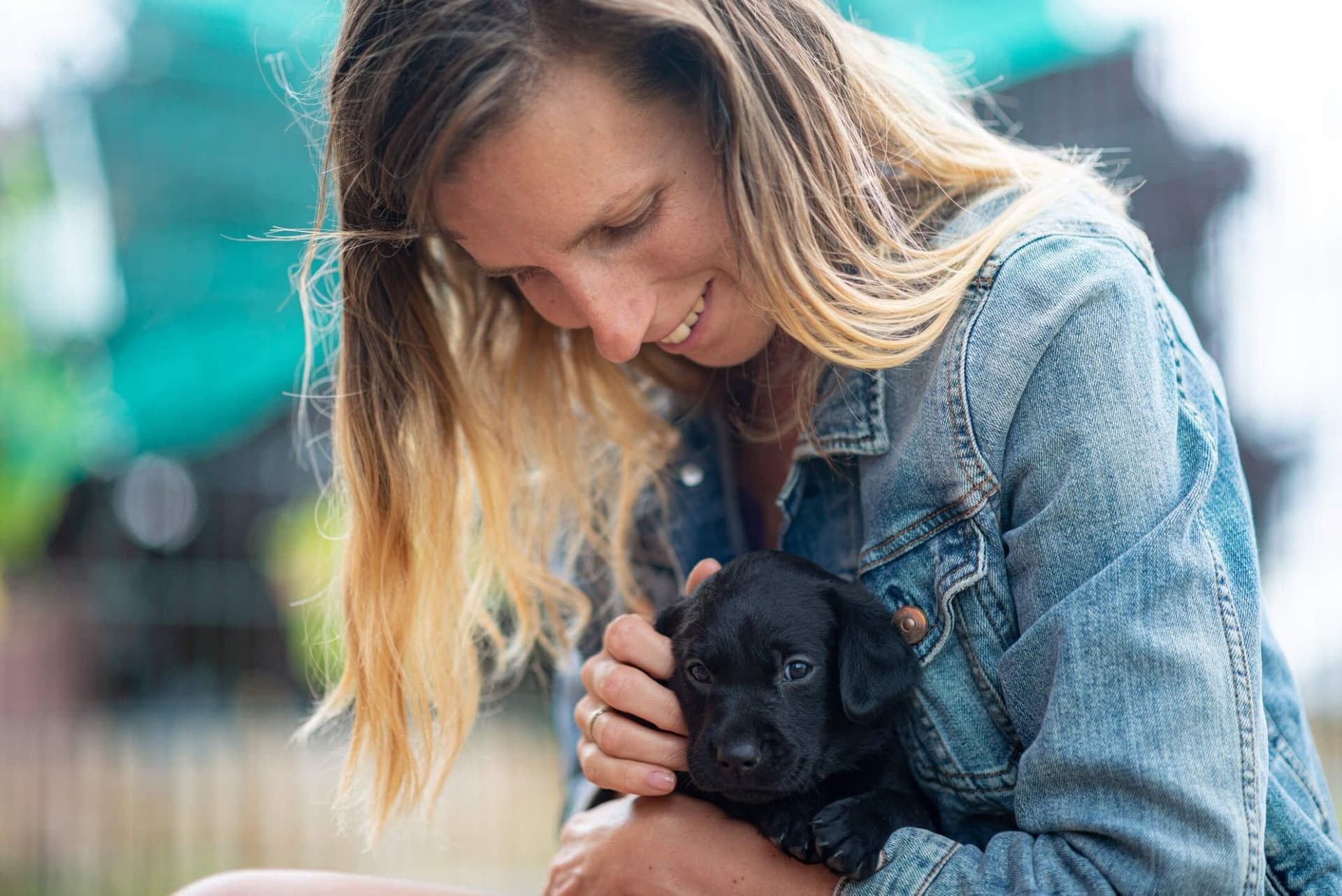Puppies & Probiotics: A Vital Combination for Growth