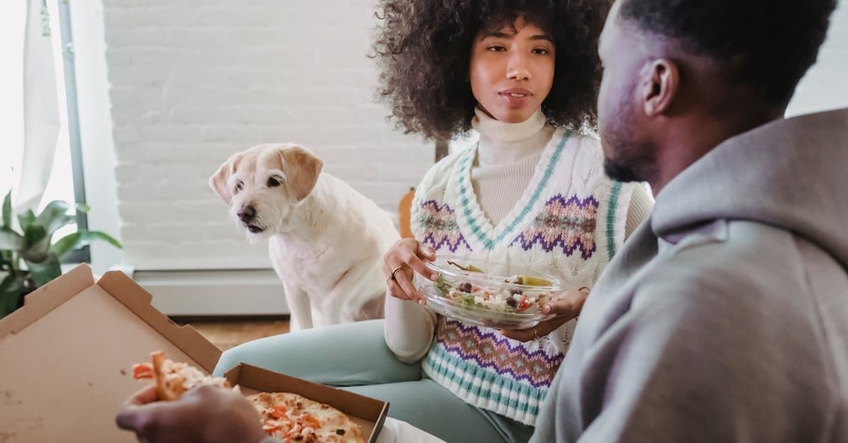 The Link Between Gut Health and a Happy Dog