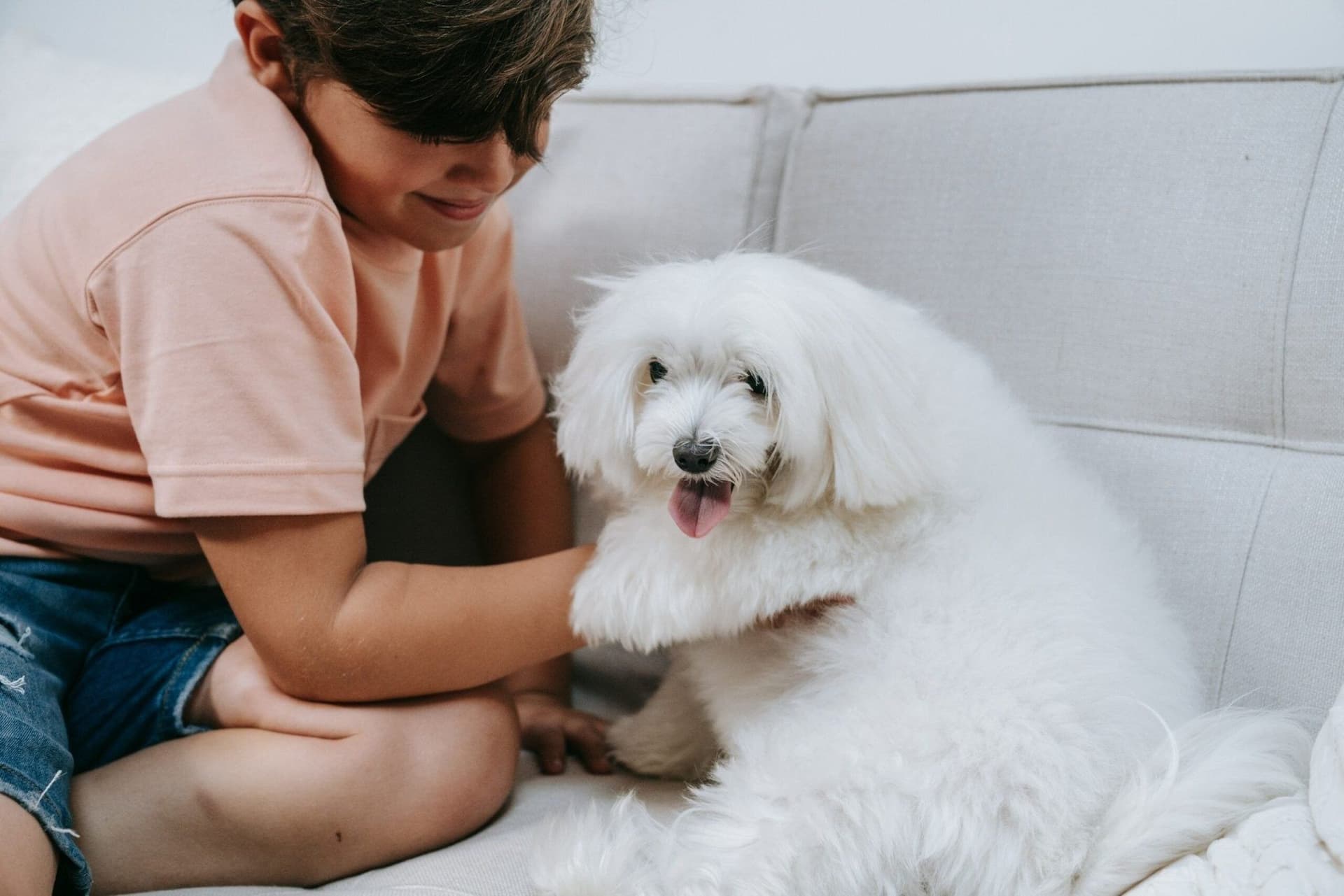 Decoding Dog Body Language And Its Importance