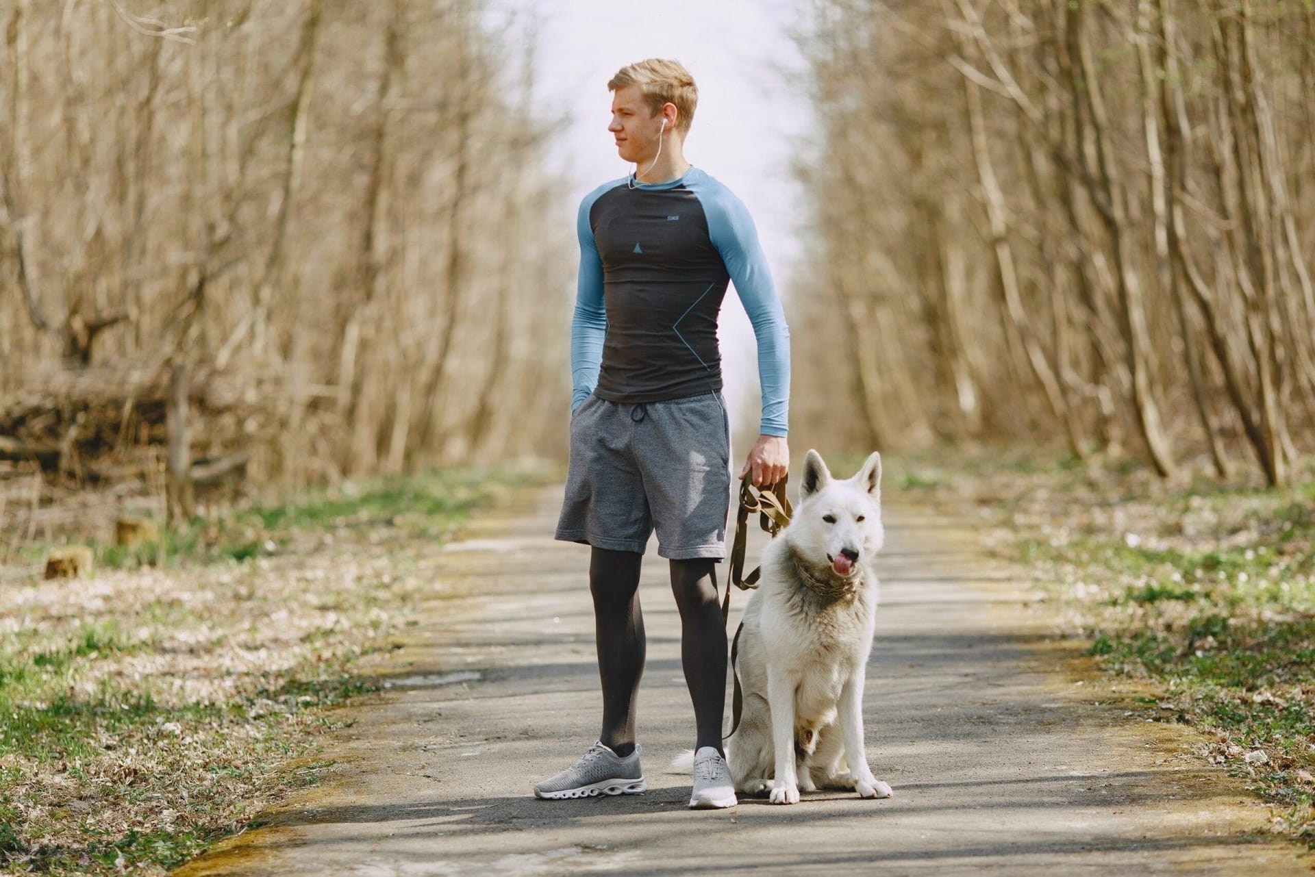 Best Dog Breeds For Running Partners cover image