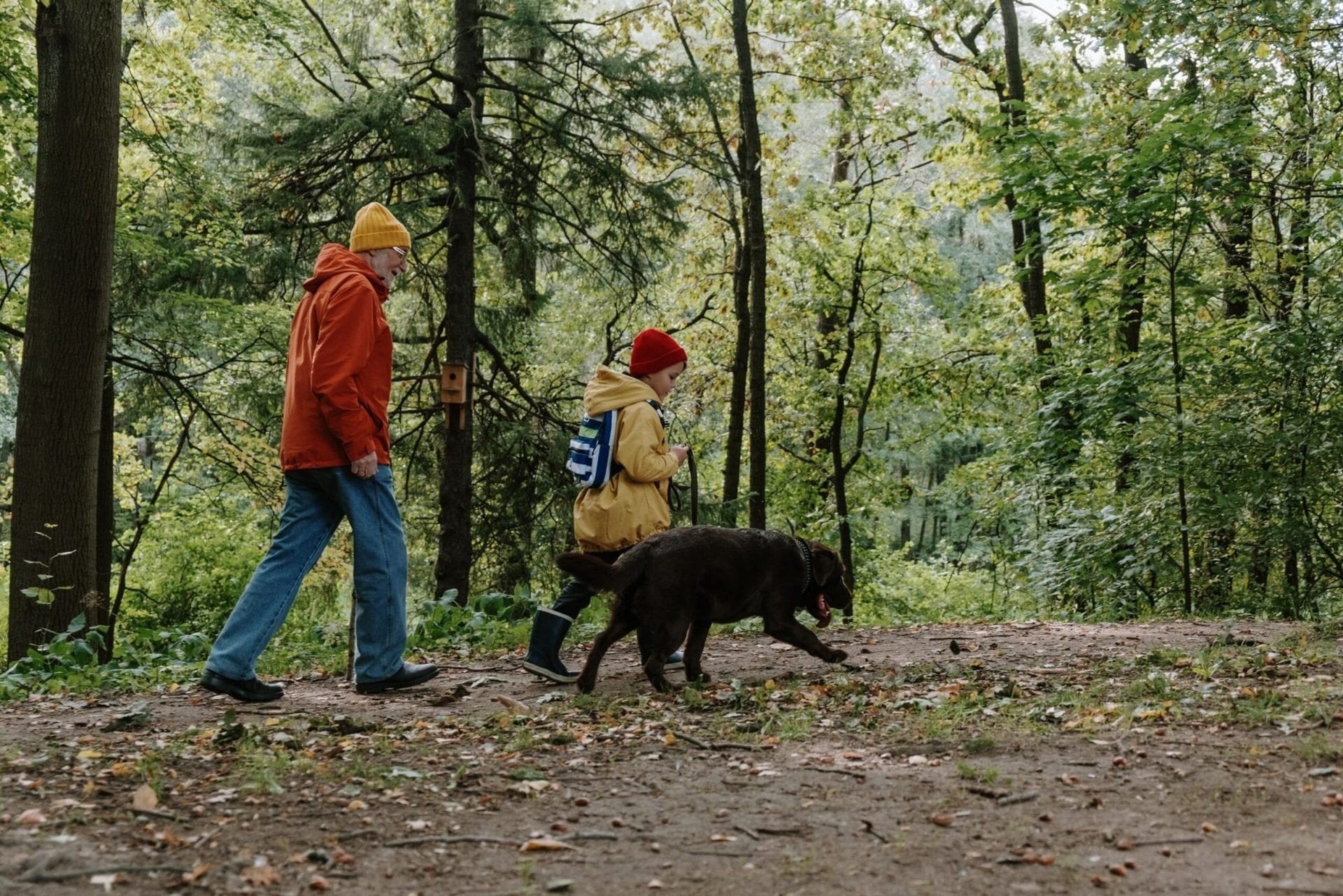 Tips For Hiking With Your Dog cover image
